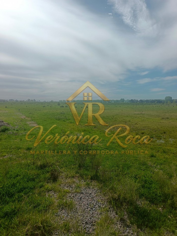 CAMPO EN VENTA 90 HA CANNING
