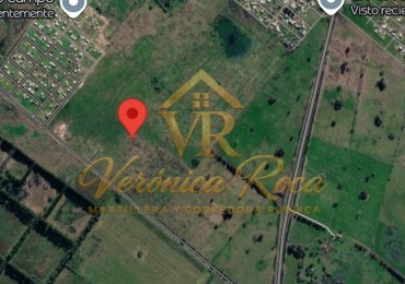 CAMPO EN VENTA 90 HA CANNING
